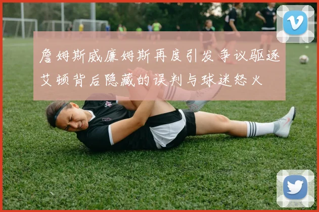詹姆斯威廉姆斯再度引发争议驱逐艾顿背后隐藏的误判与球迷怒火